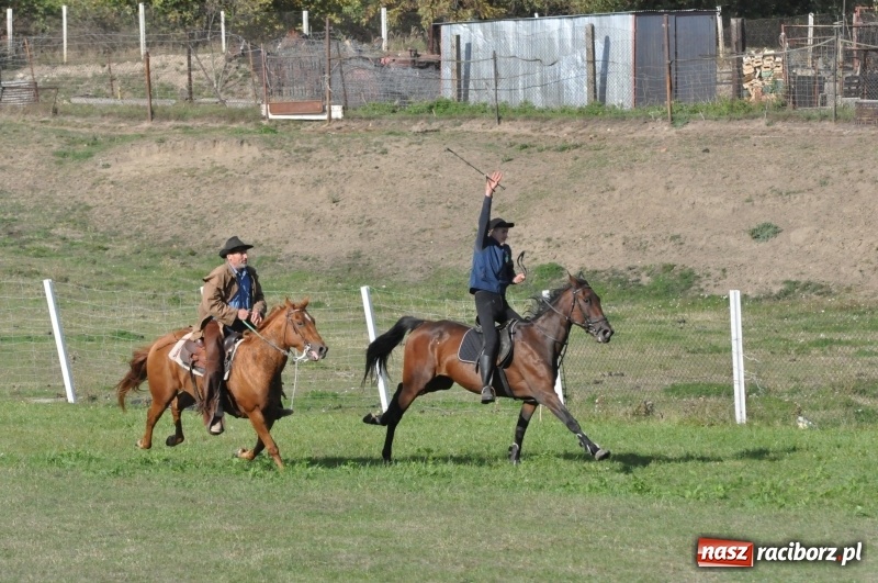 Zdjęcie w galerii na portalu naszraciborz.pl: Raciborski Hubertus 2018. Przemarsz przez miasto i pogoń za lisem wiadomości z regionu