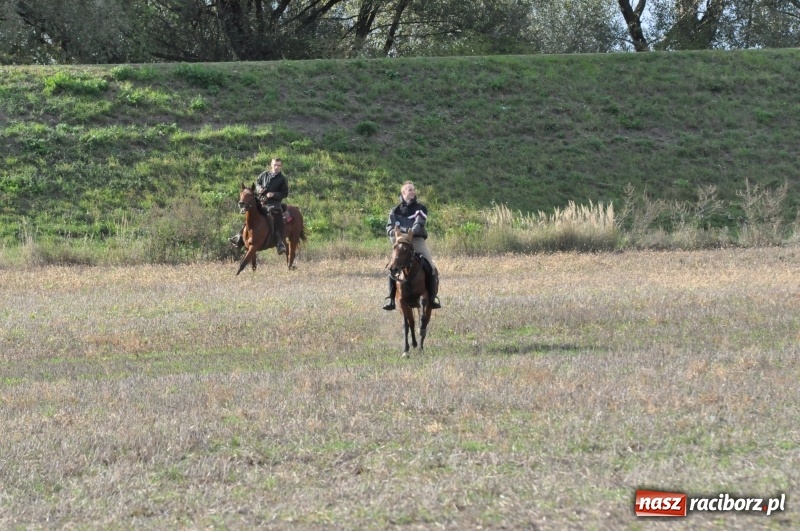 Zdjęcie w galerii na portalu naszraciborz.pl: Raciborski Hubertus 2018. Przemarsz przez miasto i pogoń za lisem wiadomości z regionu