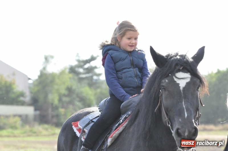 Zdjęcie w galerii na portalu naszraciborz.pl: Raciborski Hubertus 2018. Przemarsz przez miasto i pogoń za lisem wiadomości z regionu