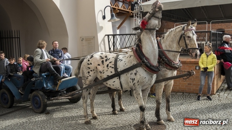 Zdjęcie w galerii na portalu naszraciborz.pl: Raciborski Hubertus 2018. Przemarsz przez miasto i pogoń za lisem wiadomości z regionu