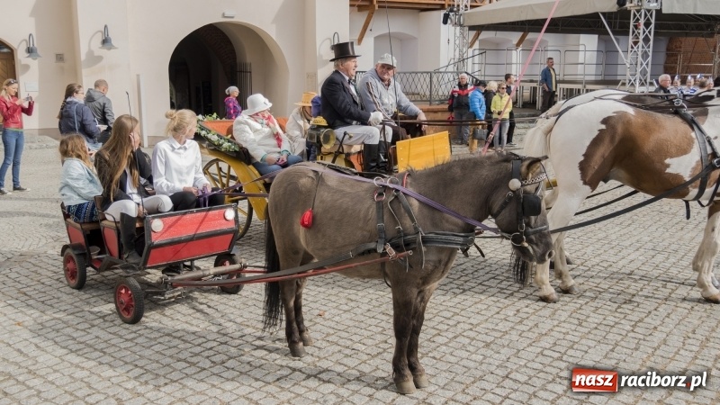 Zdjęcie w galerii na portalu naszraciborz.pl: Raciborski Hubertus 2018. Przemarsz przez miasto i pogoń za lisem wiadomości z regionu