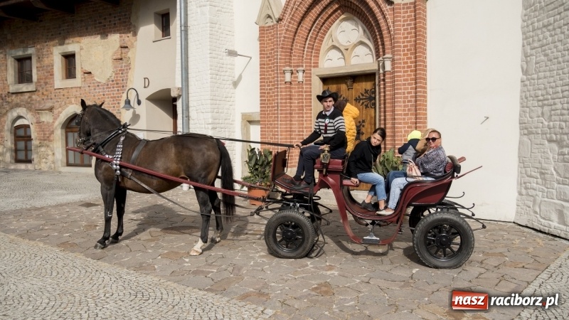 Zdjęcie w galerii na portalu naszraciborz.pl: Raciborski Hubertus 2018. Przemarsz przez miasto i pogoń za lisem wiadomości z regionu