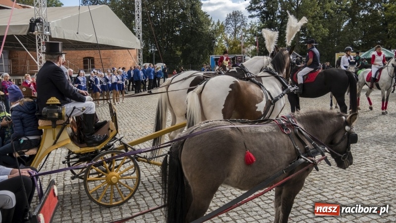 Zdjęcie w galerii na portalu naszraciborz.pl: Raciborski Hubertus 2018. Przemarsz przez miasto i pogoń za lisem wiadomości z regionu