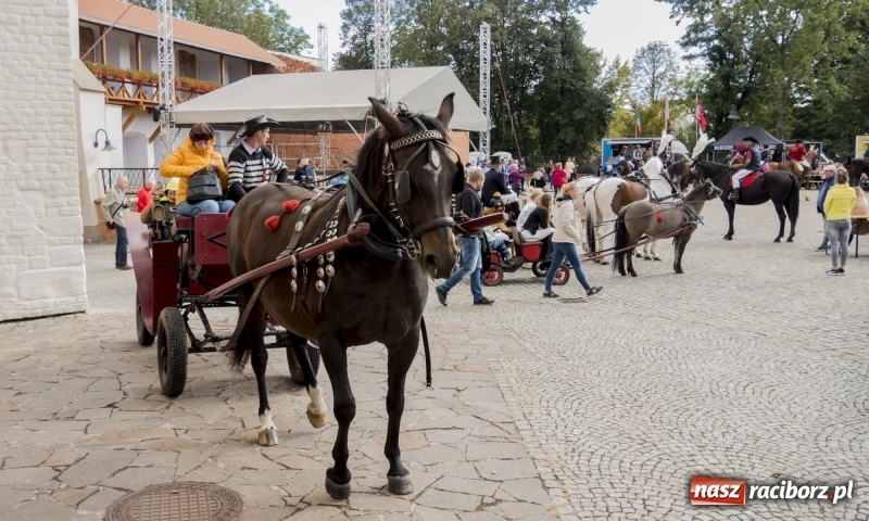 Zdjęcie w galerii na portalu naszraciborz.pl: Raciborski Hubertus 2018. Przemarsz przez miasto i pogoń za lisem wiadomości z regionu