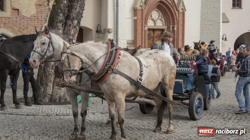 Zdjęcie w galerii na portalu naszraciborz.pl: Raciborski Hubertus 2018. Przemarsz przez miasto i pogoń za lisem wiadomości z regionu