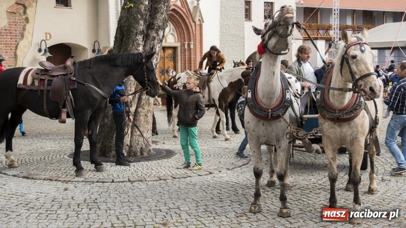 Zdjęcie w galerii na portalu naszraciborz.pl: Raciborski Hubertus 2018. Przemarsz przez miasto i pogoń za lisem wiadomości z regionu