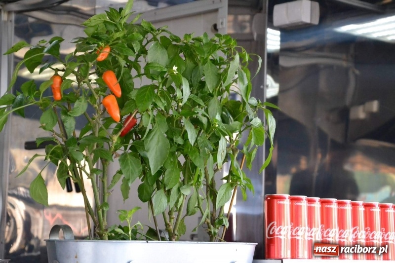 Zdjęcie w galerii na portalu naszraciborz.pl: Food trucki zagościły znów na zamku wiadomości z regionu