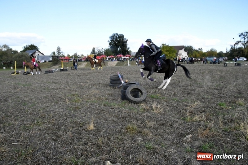 Zdjęcie w galerii na portalu naszraciborz.pl: Konkurs skoków przez przeszkody na raciborskim Hubertusie wiadomości z regionu