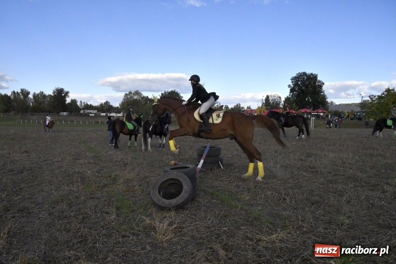 Zdjęcie w galerii na portalu naszraciborz.pl: Konkurs skoków przez przeszkody na raciborskim Hubertusie wiadomości z regionu