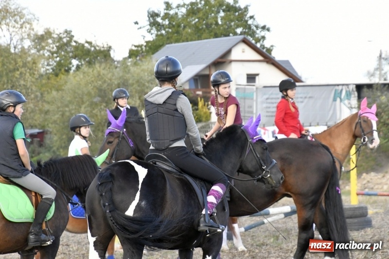 Zdjęcie w galerii na portalu naszraciborz.pl: Konkurs skoków przez przeszkody na raciborskim Hubertusie wiadomości z regionu