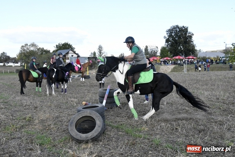 Zdjęcie w galerii na portalu naszraciborz.pl: Konkurs skoków przez przeszkody na raciborskim Hubertusie wiadomości z regionu
