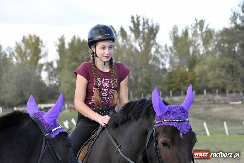 Zdjęcie w galerii na portalu naszraciborz.pl: Konkurs skoków przez przeszkody na raciborskim Hubertusie wiadomości z regionu