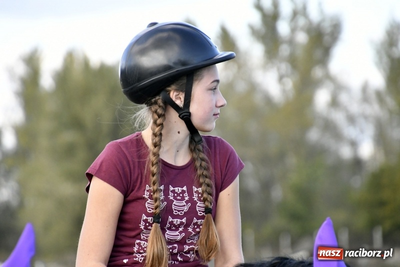 Zdjęcie w galerii na portalu naszraciborz.pl: Konkurs skoków przez przeszkody na raciborskim Hubertusie wiadomości z regionu