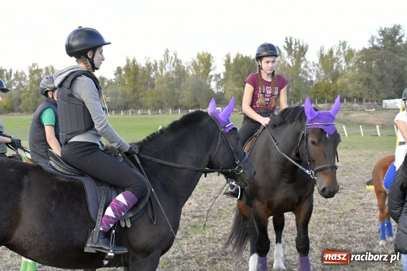 Zdjęcie w galerii na portalu naszraciborz.pl: Konkurs skoków przez przeszkody na raciborskim Hubertusie wiadomości z regionu