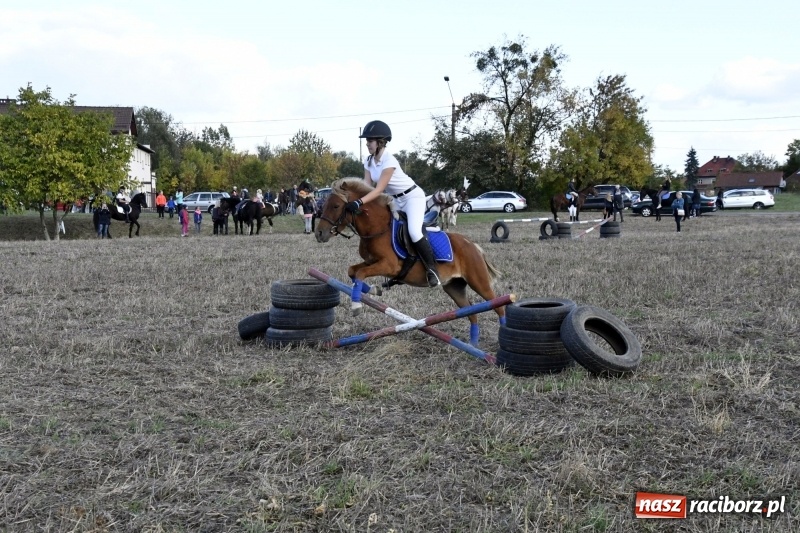 Zdjęcie w galerii na portalu naszraciborz.pl: Konkurs skoków przez przeszkody na raciborskim Hubertusie wiadomości z regionu
