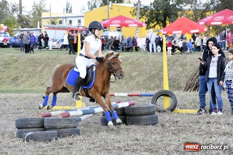 Zdjęcie w galerii na portalu naszraciborz.pl: Konkurs skoków przez przeszkody na raciborskim Hubertusie wiadomości z regionu