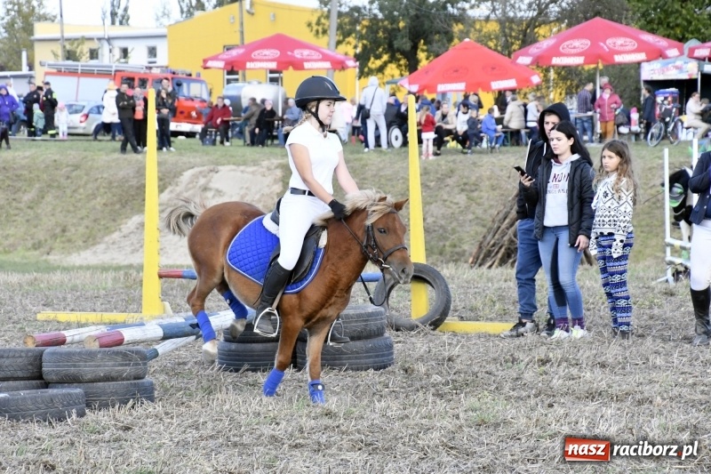 Zdjęcie w galerii na portalu naszraciborz.pl: Konkurs skoków przez przeszkody na raciborskim Hubertusie wiadomości z regionu