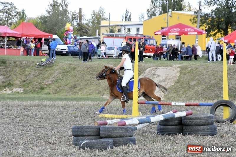 Zdjęcie w galerii na portalu naszraciborz.pl: Konkurs skoków przez przeszkody na raciborskim Hubertusie wiadomości z regionu