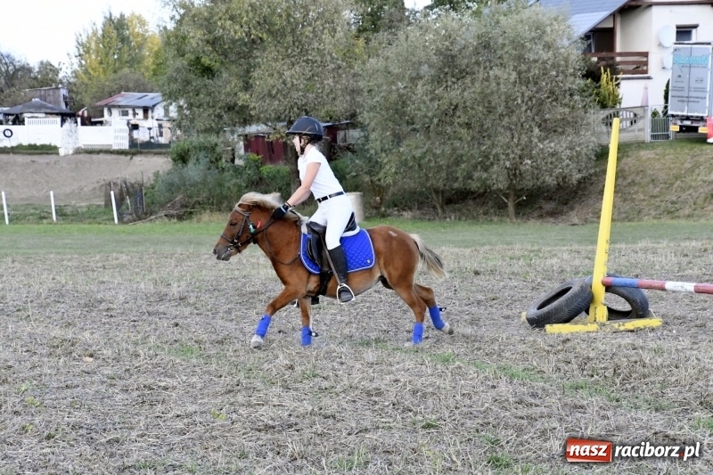 Zdjęcie w galerii na portalu naszraciborz.pl: Konkurs skoków przez przeszkody na raciborskim Hubertusie wiadomości z regionu