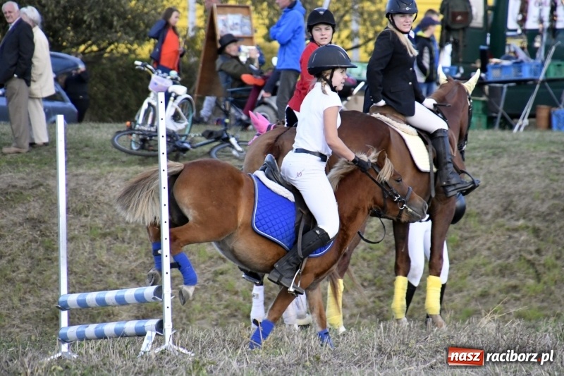 Zdjęcie w galerii na portalu naszraciborz.pl: Konkurs skoków przez przeszkody na raciborskim Hubertusie wiadomości z regionu