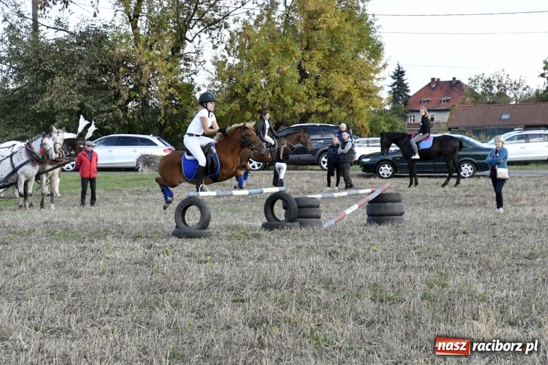 Zdjęcie w galerii na portalu naszraciborz.pl: Konkurs skoków przez przeszkody na raciborskim Hubertusie wiadomości z regionu