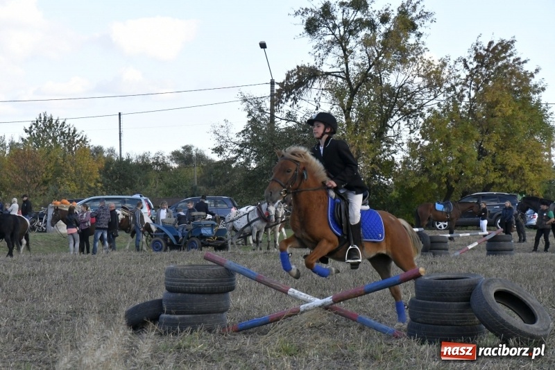 Zdjęcie w galerii na portalu naszraciborz.pl: Konkurs skoków przez przeszkody na raciborskim Hubertusie wiadomości z regionu