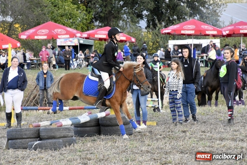 Zdjęcie w galerii na portalu naszraciborz.pl: Konkurs skoków przez przeszkody na raciborskim Hubertusie wiadomości z regionu