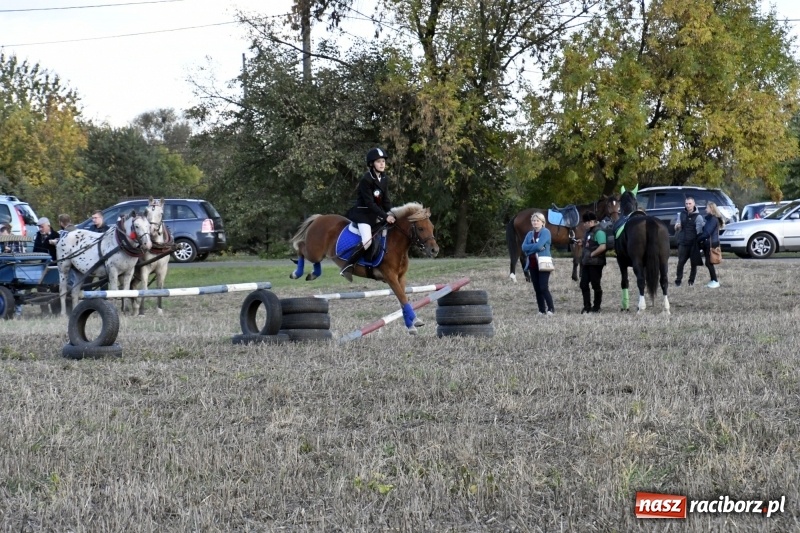 Zdjęcie w galerii na portalu naszraciborz.pl: Konkurs skoków przez przeszkody na raciborskim Hubertusie wiadomości z regionu
