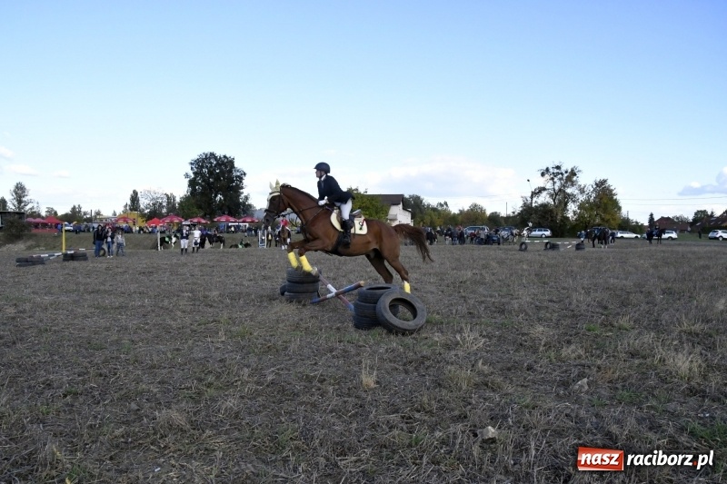 Zdjęcie w galerii na portalu naszraciborz.pl: Konkurs skoków przez przeszkody na raciborskim Hubertusie wiadomości z regionu