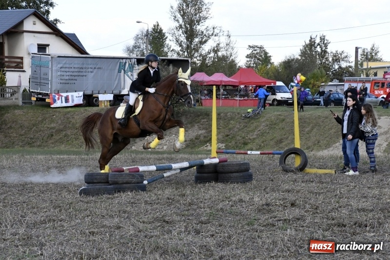 Zdjęcie w galerii na portalu naszraciborz.pl: Konkurs skoków przez przeszkody na raciborskim Hubertusie wiadomości z regionu