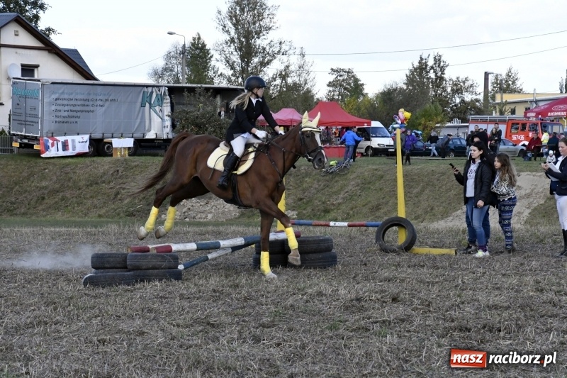 Zdjęcie w galerii na portalu naszraciborz.pl: Konkurs skoków przez przeszkody na raciborskim Hubertusie wiadomości z regionu