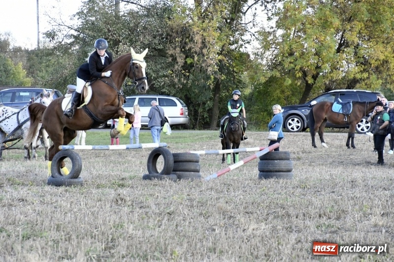 Zdjęcie w galerii na portalu naszraciborz.pl: Konkurs skoków przez przeszkody na raciborskim Hubertusie wiadomości z regionu