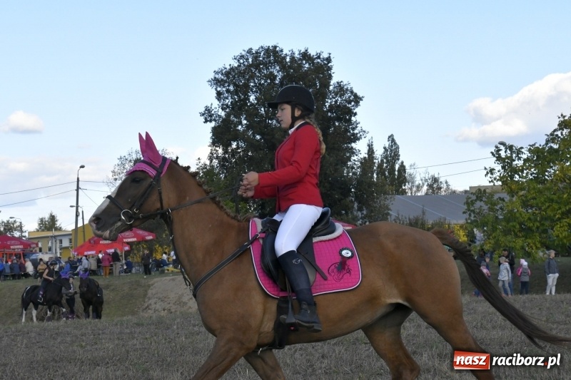 Zdjęcie w galerii na portalu naszraciborz.pl: Konkurs skoków przez przeszkody na raciborskim Hubertusie wiadomości z regionu