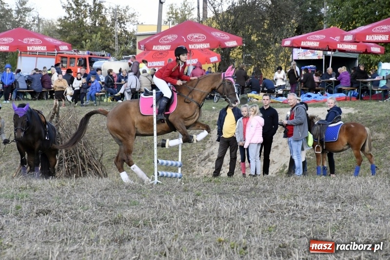 Zdjęcie w galerii na portalu naszraciborz.pl: Konkurs skoków przez przeszkody na raciborskim Hubertusie wiadomości z regionu