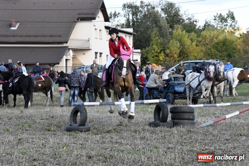 Zdjęcie w galerii na portalu naszraciborz.pl: Konkurs skoków przez przeszkody na raciborskim Hubertusie wiadomości z regionu