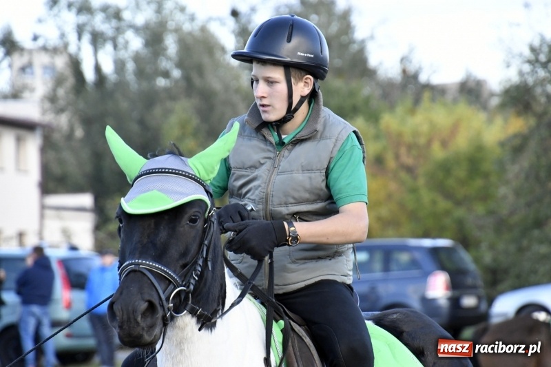 Zdjęcie w galerii na portalu naszraciborz.pl: Konkurs skoków przez przeszkody na raciborskim Hubertusie wiadomości z regionu