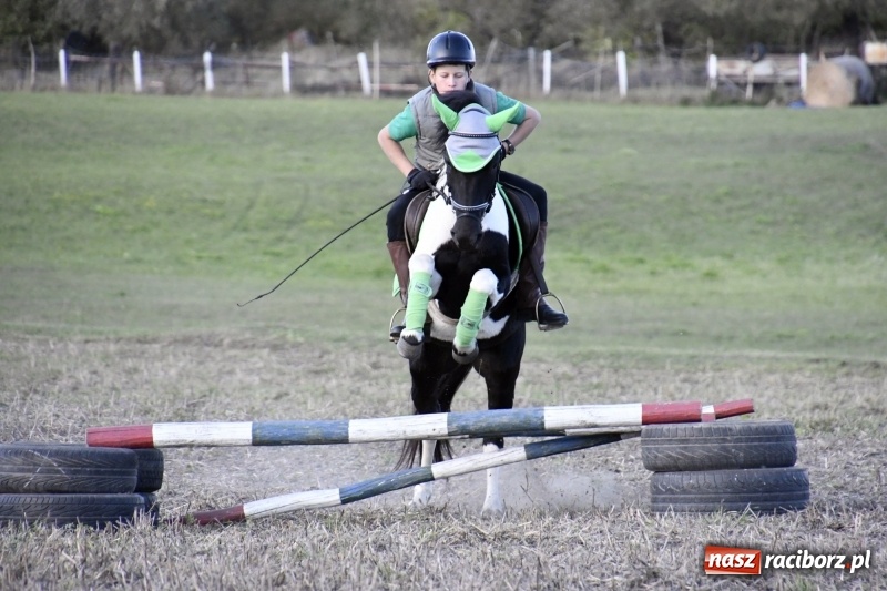 Zdjęcie w galerii na portalu naszraciborz.pl: Konkurs skoków przez przeszkody na raciborskim Hubertusie wiadomości z regionu