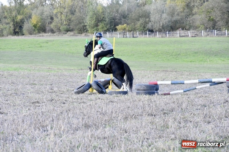 Zdjęcie w galerii na portalu naszraciborz.pl: Konkurs skoków przez przeszkody na raciborskim Hubertusie wiadomości z regionu