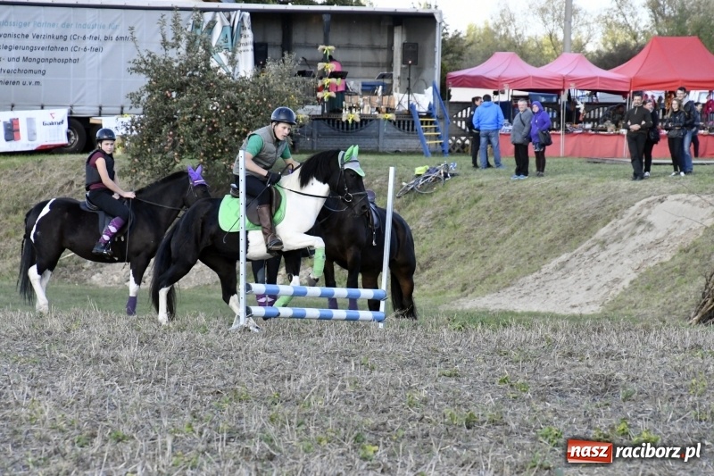 Zdjęcie w galerii na portalu naszraciborz.pl: Konkurs skoków przez przeszkody na raciborskim Hubertusie wiadomości z regionu