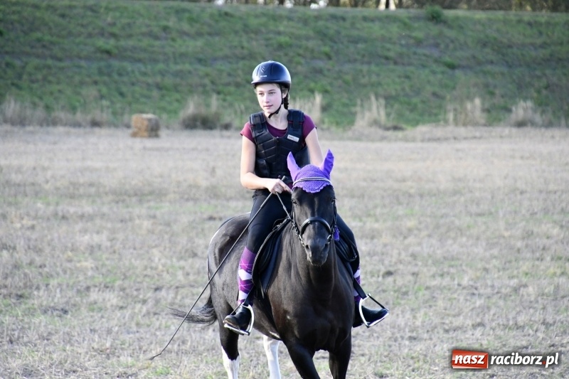 Zdjęcie w galerii na portalu naszraciborz.pl: Konkurs skoków przez przeszkody na raciborskim Hubertusie wiadomości z regionu