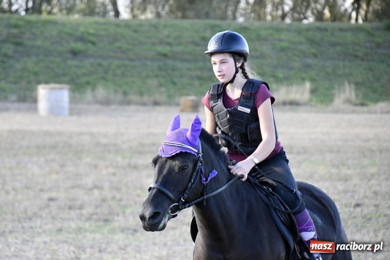 Zdjęcie w galerii na portalu naszraciborz.pl: Konkurs skoków przez przeszkody na raciborskim Hubertusie wiadomości z regionu