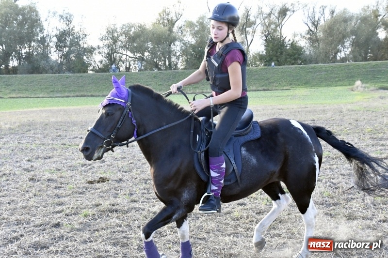 Zdjęcie w galerii na portalu naszraciborz.pl: Konkurs skoków przez przeszkody na raciborskim Hubertusie wiadomości z regionu