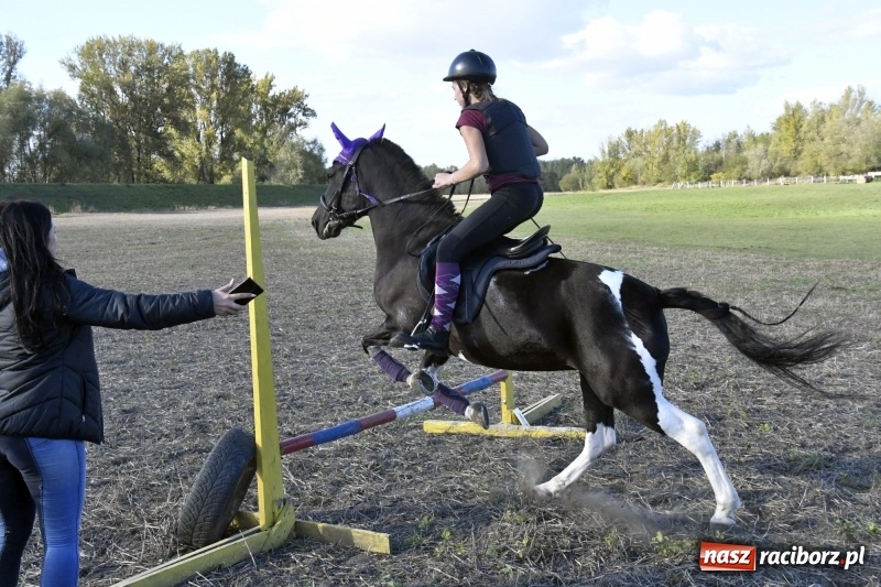 Zdjęcie w galerii na portalu naszraciborz.pl: Konkurs skoków przez przeszkody na raciborskim Hubertusie wiadomości z regionu