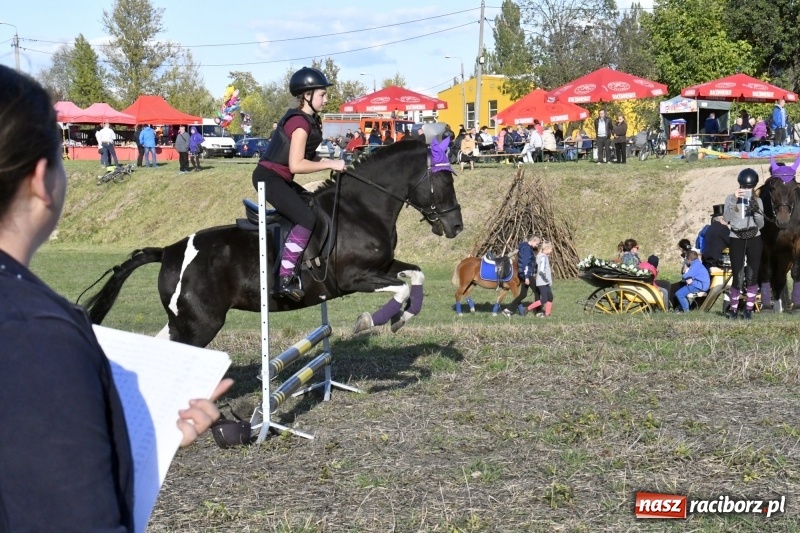 Zdjęcie w galerii na portalu naszraciborz.pl: Konkurs skoków przez przeszkody na raciborskim Hubertusie wiadomości z regionu