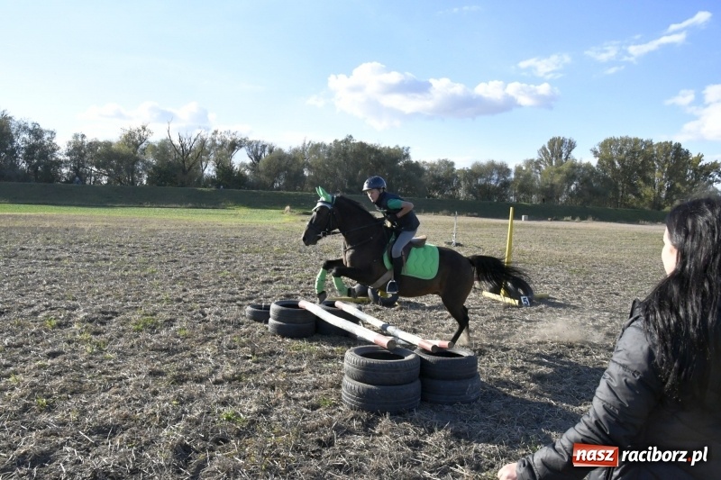 Zdjęcie w galerii na portalu naszraciborz.pl: Konkurs skoków przez przeszkody na raciborskim Hubertusie wiadomości z regionu