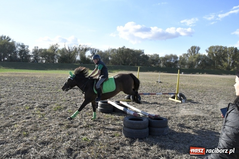 Zdjęcie w galerii na portalu naszraciborz.pl: Konkurs skoków przez przeszkody na raciborskim Hubertusie wiadomości z regionu