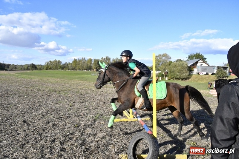 Zdjęcie w galerii na portalu naszraciborz.pl: Konkurs skoków przez przeszkody na raciborskim Hubertusie wiadomości z regionu