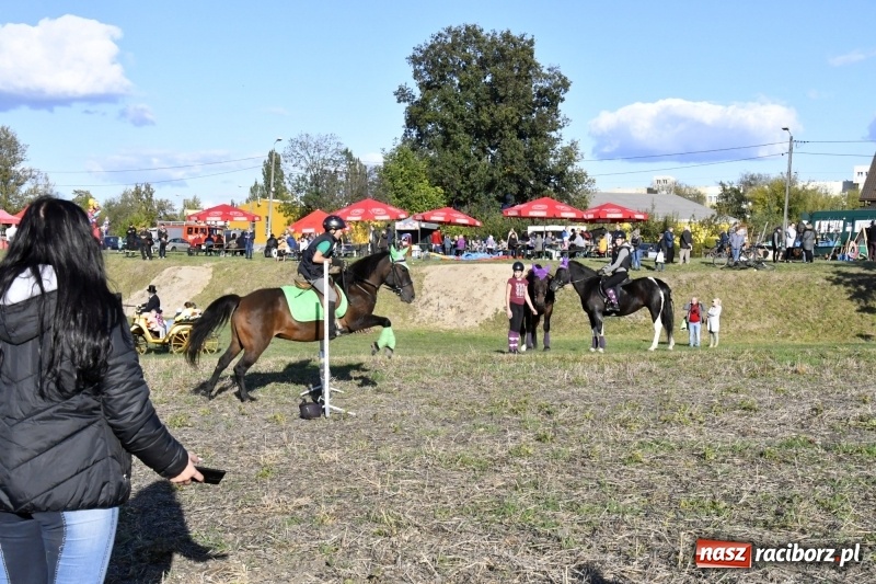 Zdjęcie w galerii na portalu naszraciborz.pl: Konkurs skoków przez przeszkody na raciborskim Hubertusie wiadomości z regionu