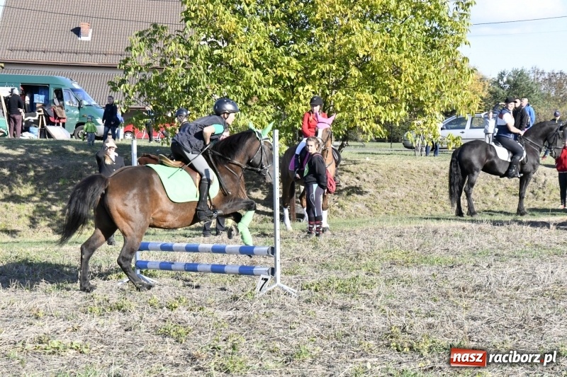 Zdjęcie w galerii na portalu naszraciborz.pl: Konkurs skoków przez przeszkody na raciborskim Hubertusie wiadomości z regionu