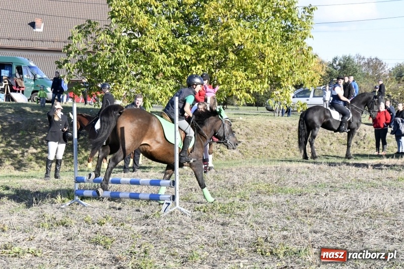Zdjęcie w galerii na portalu naszraciborz.pl: Konkurs skoków przez przeszkody na raciborskim Hubertusie wiadomości z regionu
